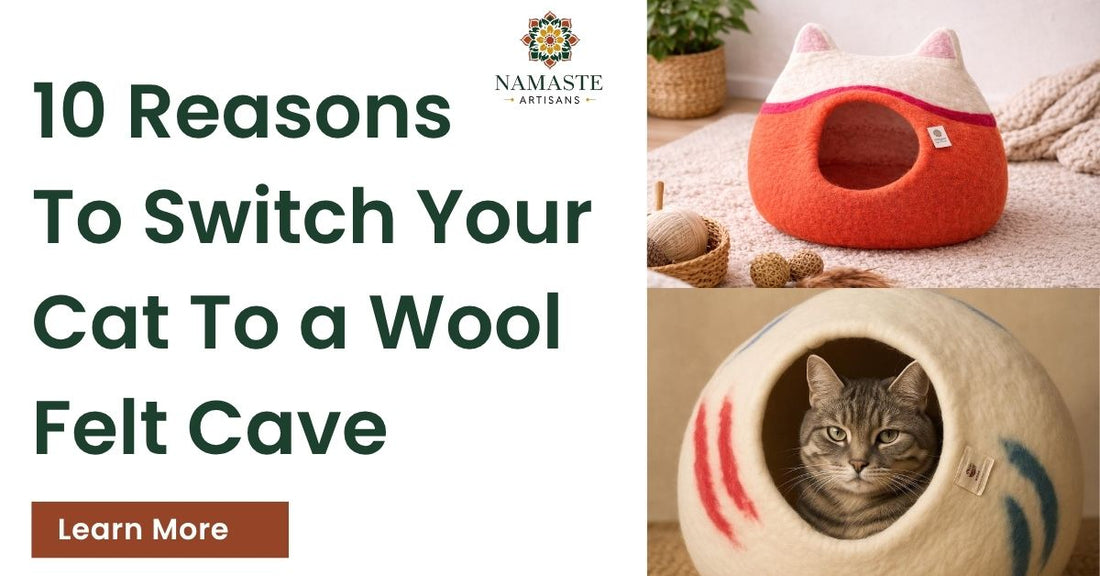 reasons to switch your cat to a wool felt cave