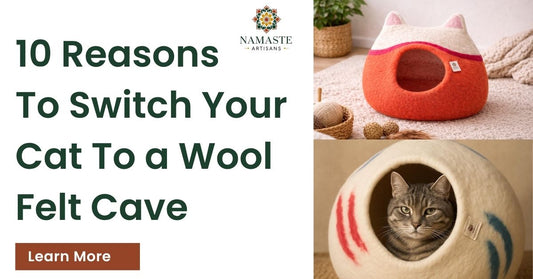 reasons to switch your cat to a wool felt cave