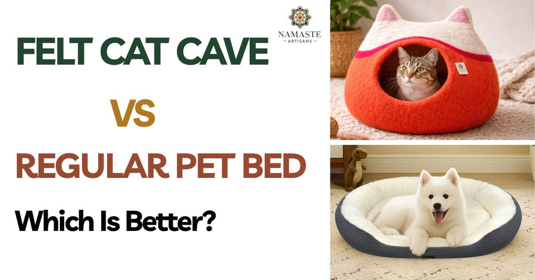felt cat cave vs regular pet bed