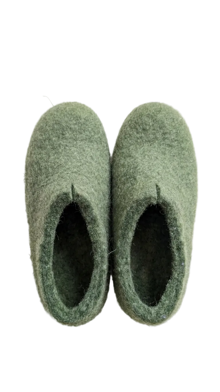 Pair of green slippers on a white background