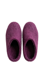 Pair of purple slippers on a white background