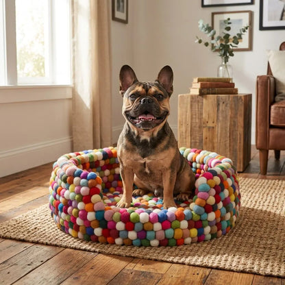 Dog sitting on a Colourful wool felt dog bed handmade by women artisans with cozy pet bed design in a cozy living room.